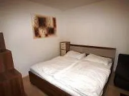 Checkvienna - Giessaufgasse Apartment Austria